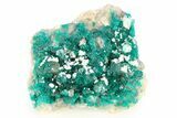 Sparkling Dioptase Crystal on Quartz - Sanda, Congo #306098-1